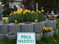 ZAJĄCZEK WIELKANOCNY